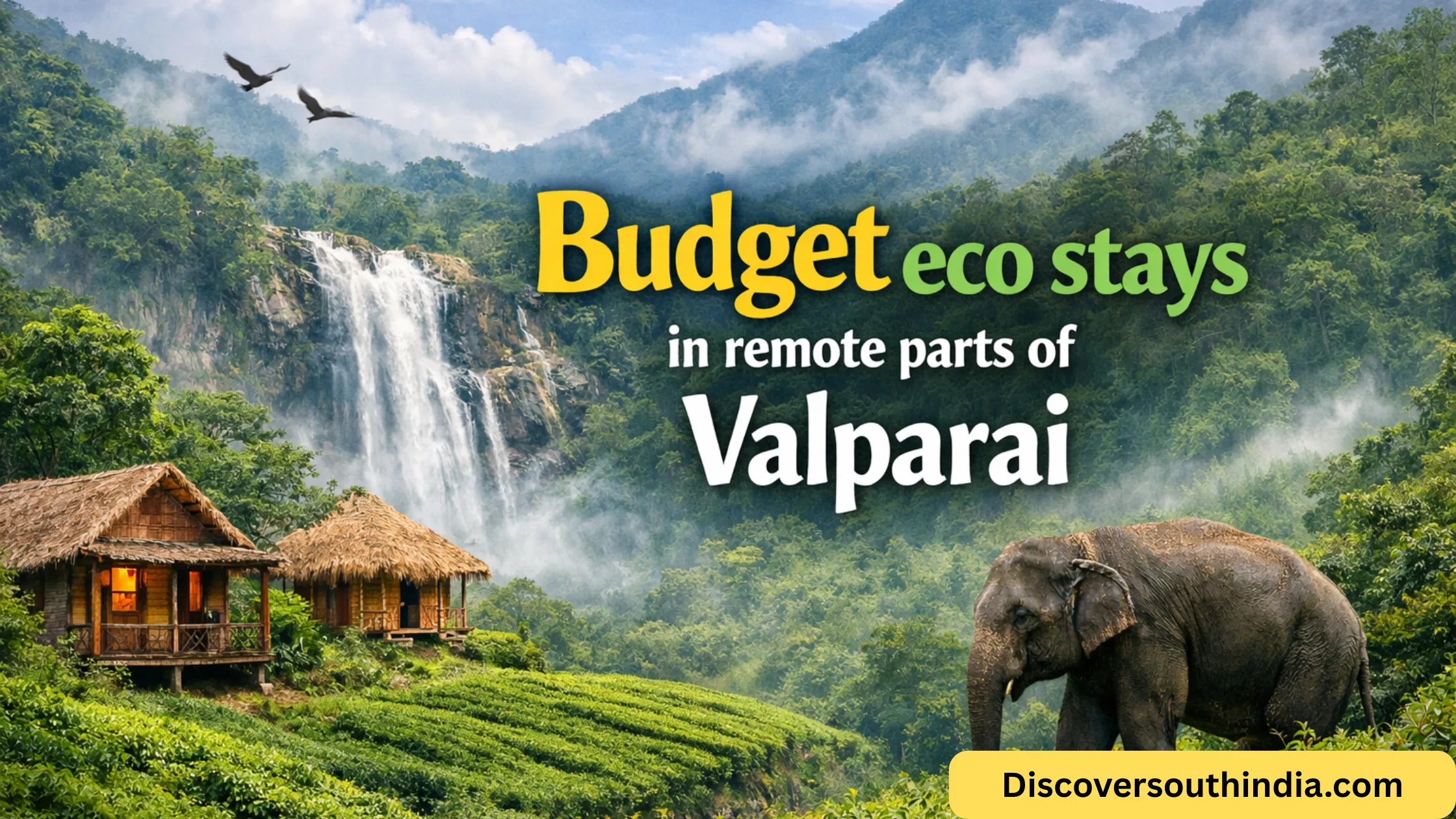 Budget eco stays in remote parts of Valparai
