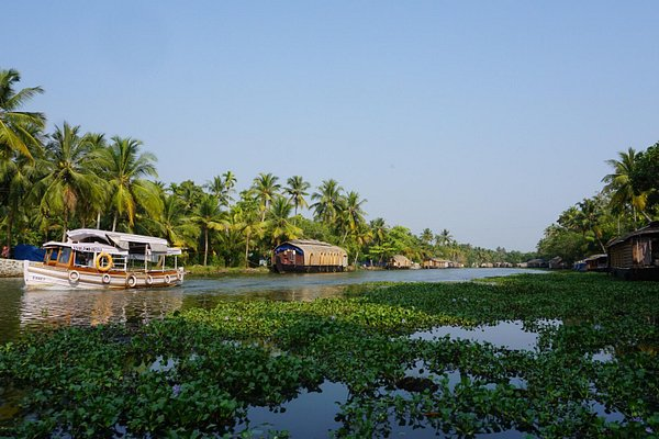 Nedumudi Village Backwaters