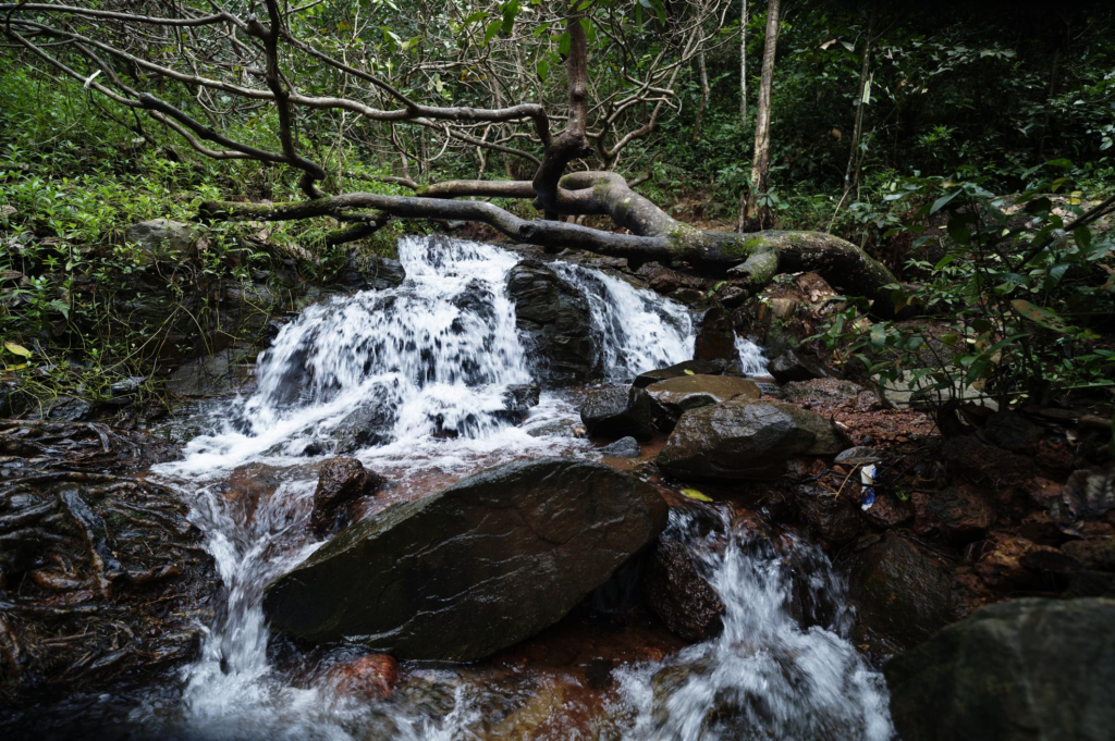 Agumbe 