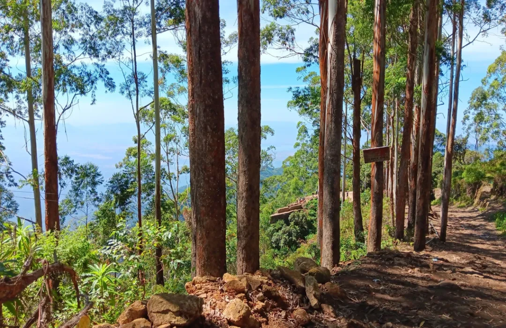 Shiva Shrine Near Coonoor