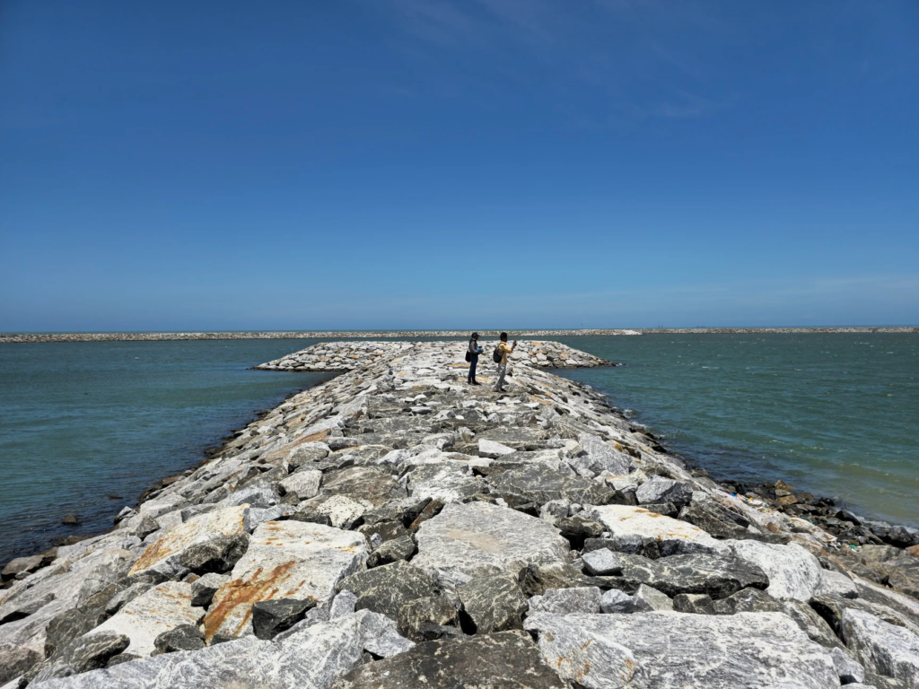 Mappillaiurani Coastal Belt