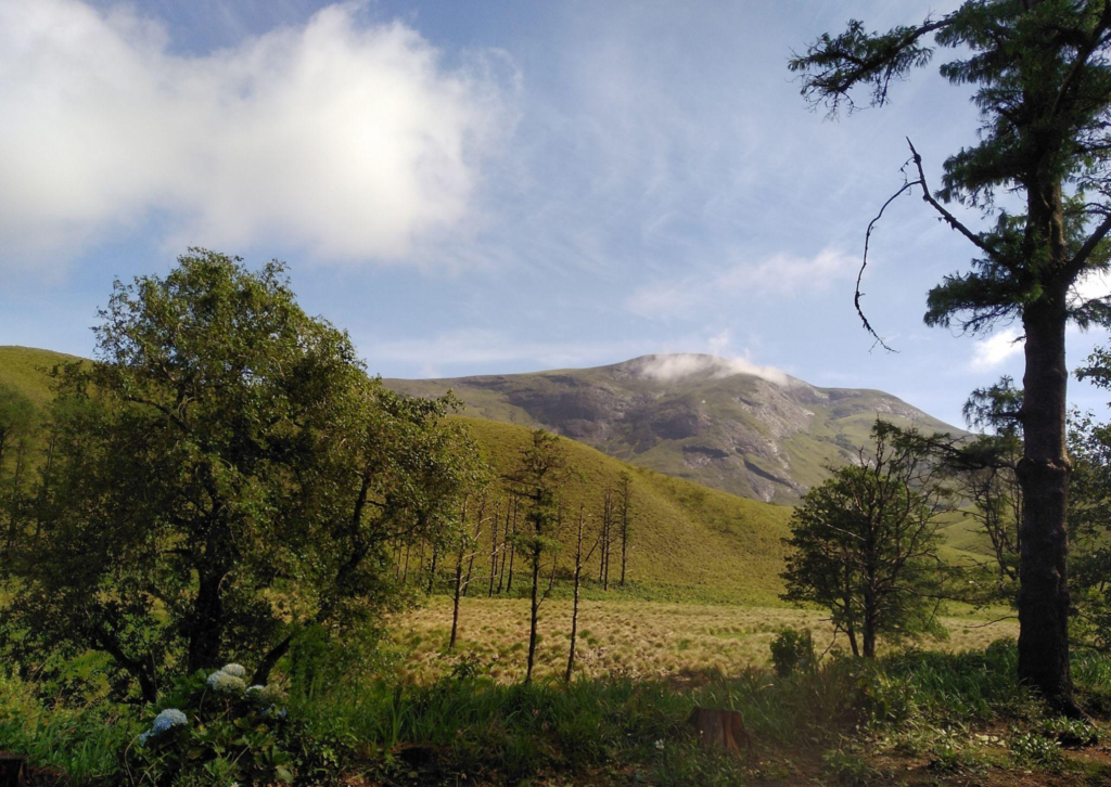Anamalai Tiger Reserve
