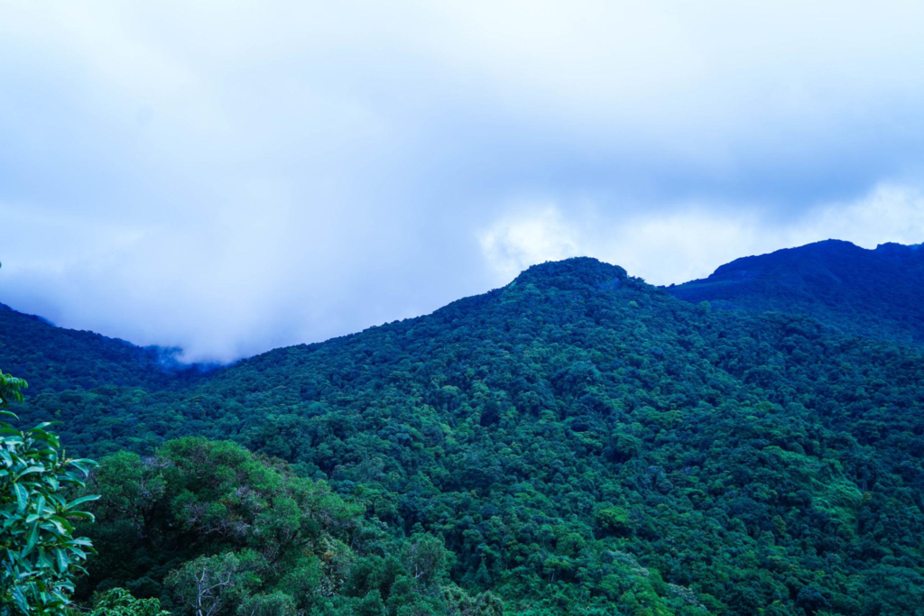 Kottiyoor