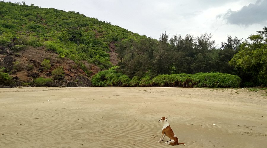 Nirvana Beach Gokarna